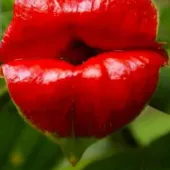 Секс фото - Светлана 49, Москва