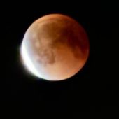 секс знакомства в г Санкт-Петербург