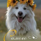 секс знакомства в г Иваново