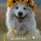 Алёна 36, Иваново Секс фото - Алёна 36, Иваново