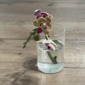 Секс фото - анна 40, Москва