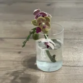 Секс фото - анна 40, Москва