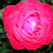 Ирина 32, Одесса секс знакомства в г Одесса