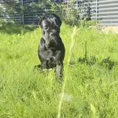 Секс фото - Lica 37, Москва