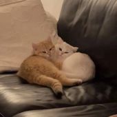 Секс фото - Лилия 20, Челябинск