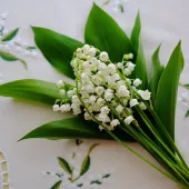 Секс фото - М+А 40, Новокуйбышевск