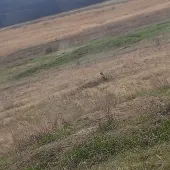 Секс фото - Кристина 30, Саратов